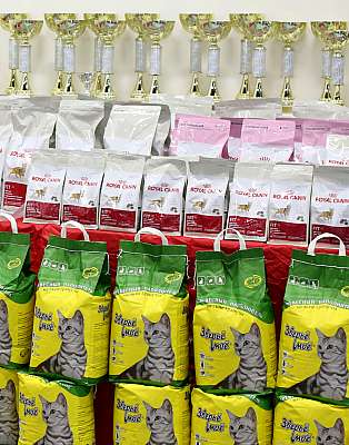 �������� ����� '���-�����-������' 11-12 ������ 2015 